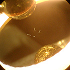 Particle Trap IMU